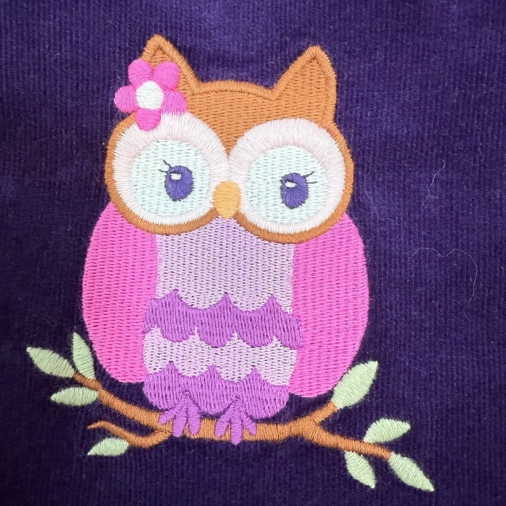Gymboree Girls Purple Corduroy Owl Jumper fashionista Dress Size 8